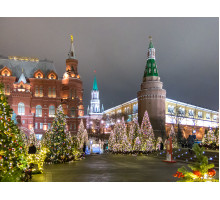 Москва Новогодняя (4-5 января)